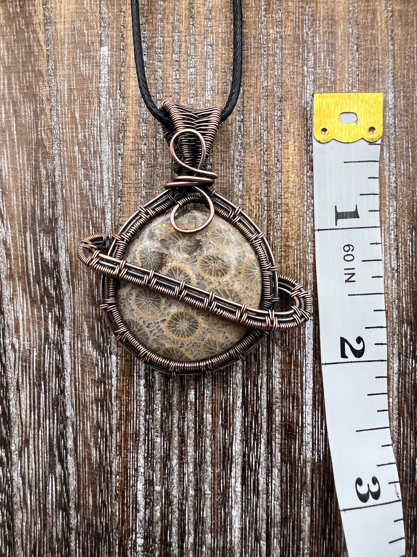 Fossil Coral Saturn