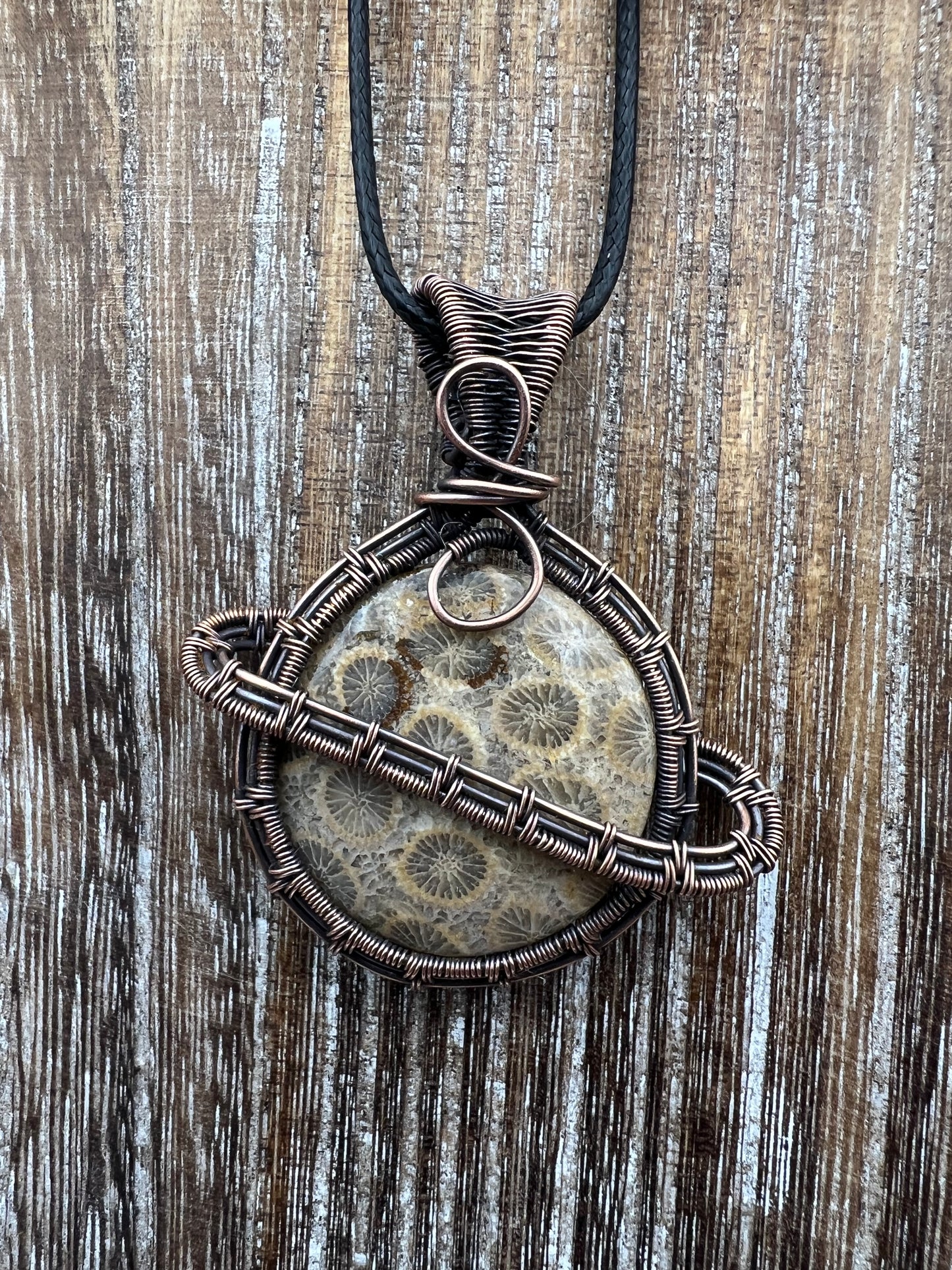 Fossil Coral Saturn