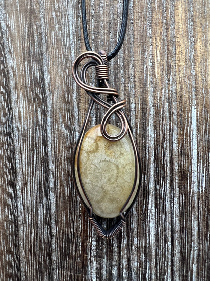 Fossil Coral