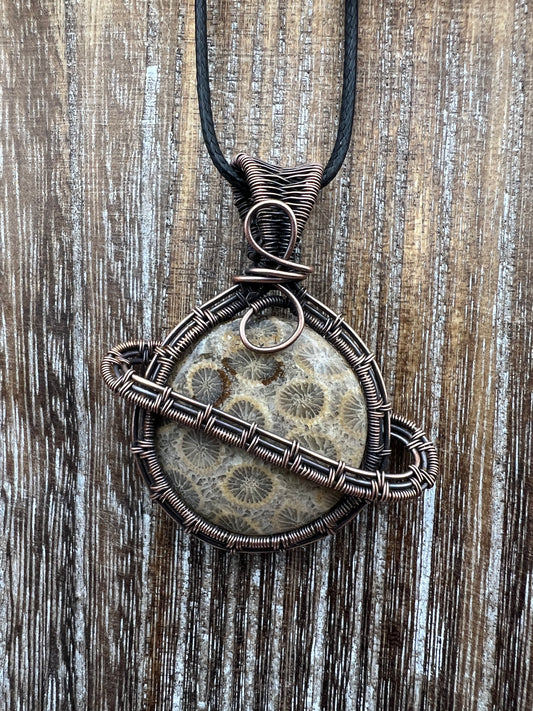 Fossil Coral Saturn